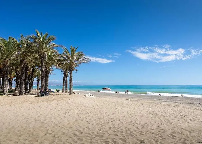 Occidental Playa *